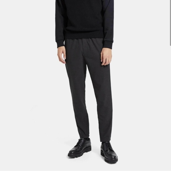 Theory Pier Mens Neoteric Jogger Pants Large - Picture 1 of 14